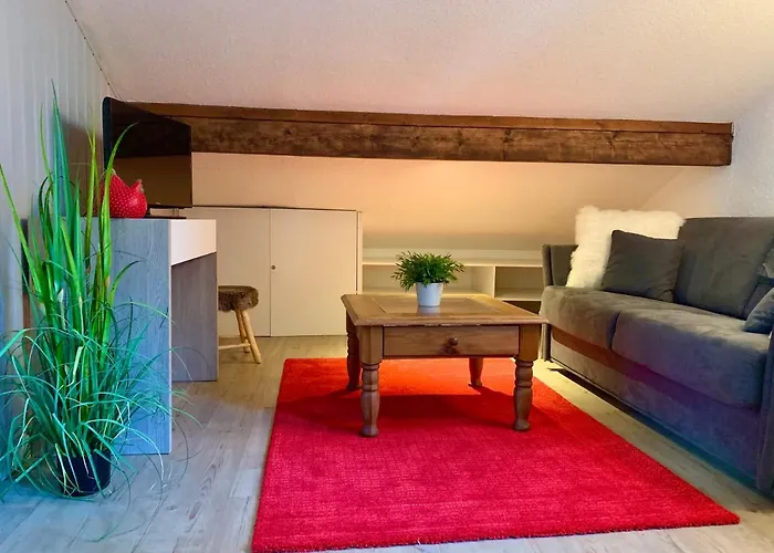 Duplex Forclaz Шамони