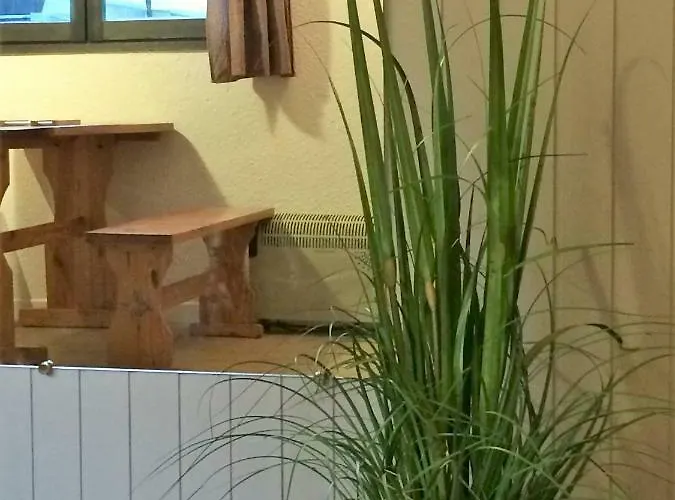 Duplex Forclaz דירה *